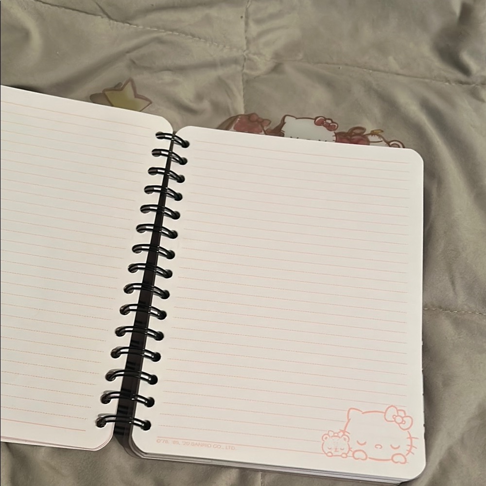Pink Hello Kitty Spiral Notebook - Picture 3 of 9